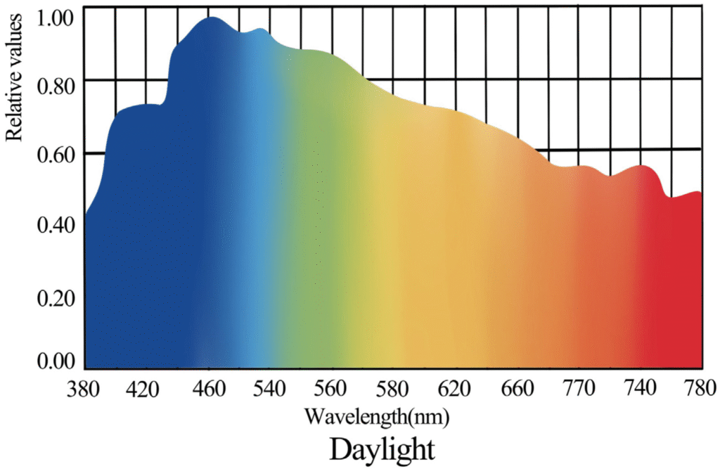 How Smart Lighting Scenes Influence Mood And Productivity